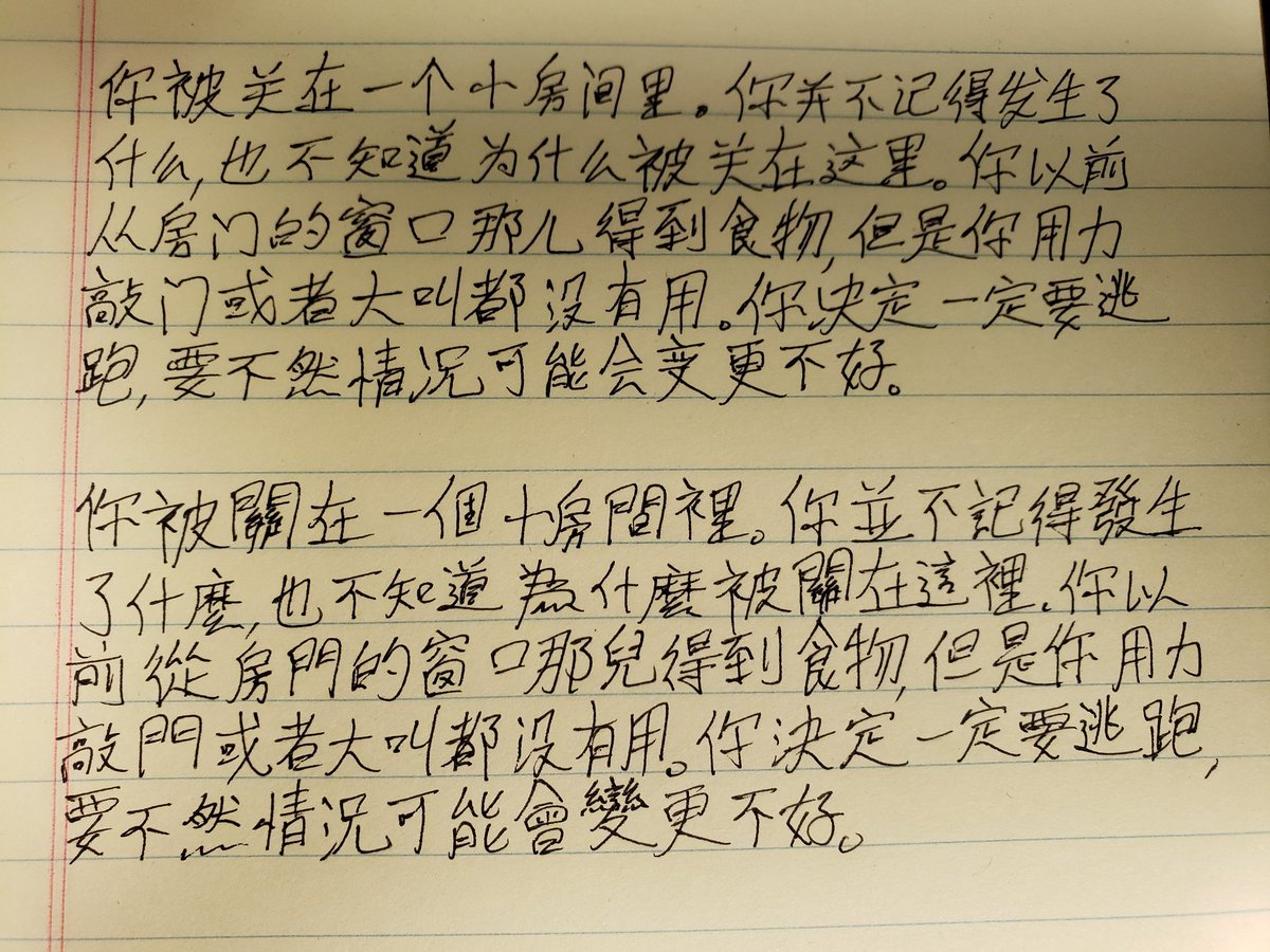 chinese essay chinese diary format