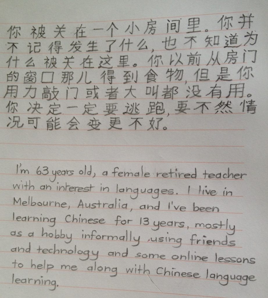 essay in chinese language